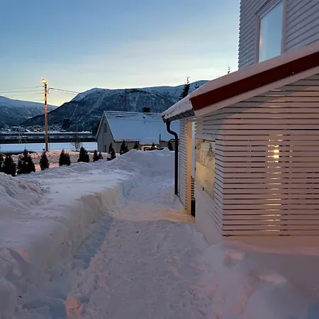 Nydelig Sentral Leilighet Med Gratis Parkering Apartment *